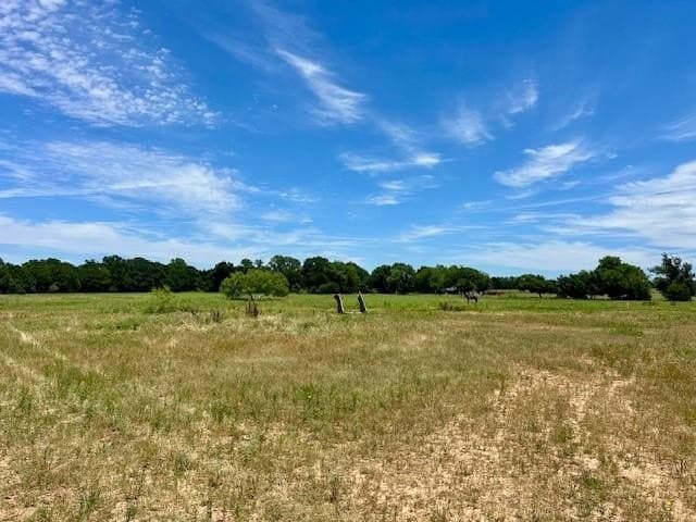 18.2 acres in Limestone County - photo 19