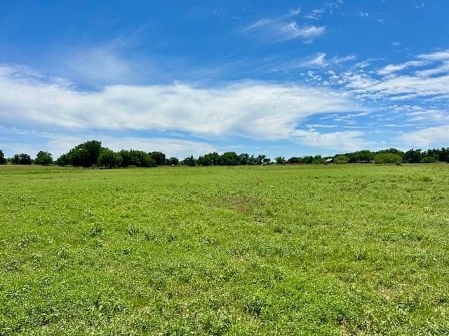 18.2 acres in Limestone County - photo 2