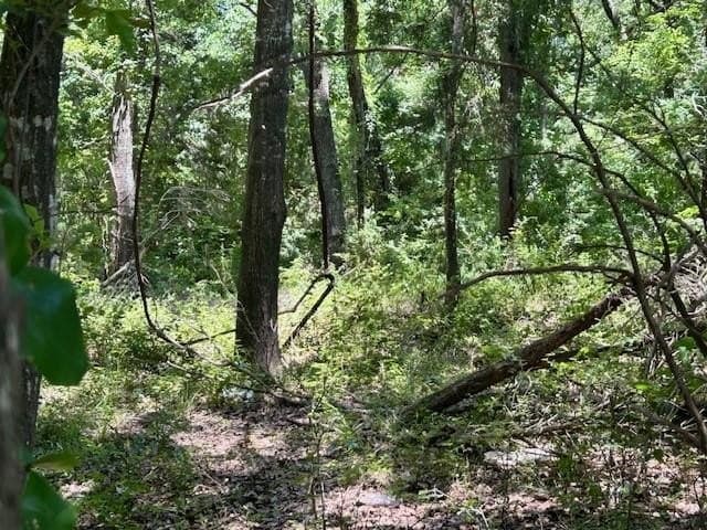 18.2 acres in Limestone County - photo 10
