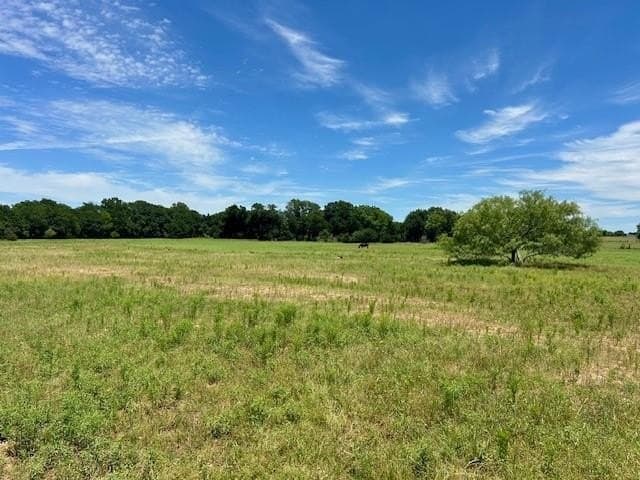 18.2 acres in Limestone County - photo 15