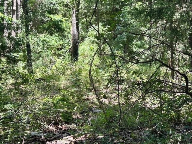 18.2 acres in Limestone County - photo 11