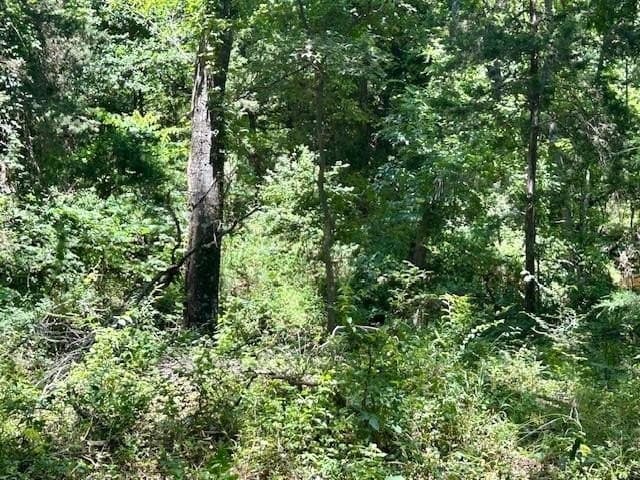 18.2 acres in Limestone County - photo 8