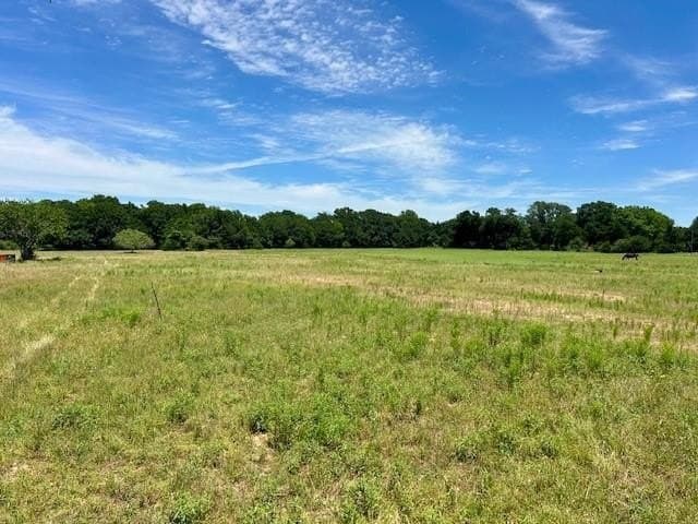 18.2 acres in Limestone County - photo 16