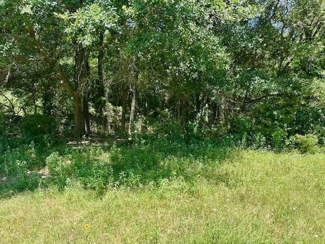 18.2 acres in Limestone County - photo 14