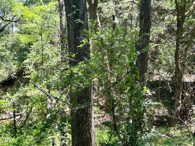 18.2 acres in Limestone County - photo 7