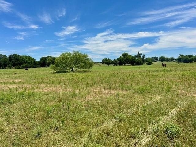 18.2 acres in Limestone County - photo 17