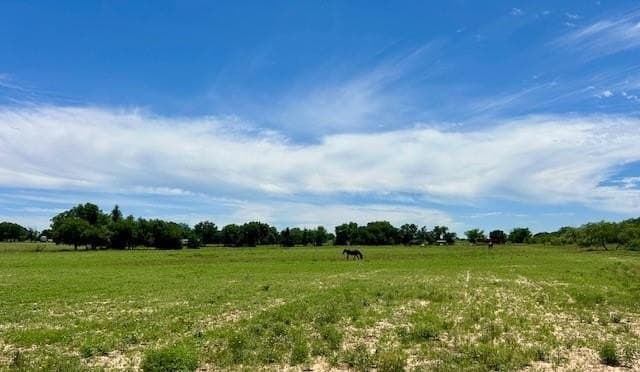 18.2 acres in Limestone County - photo 4