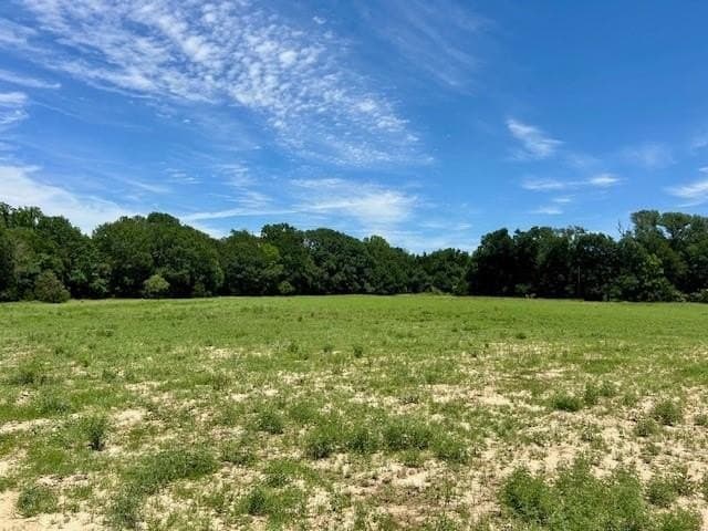 18.2 acres in Limestone County - photo 5