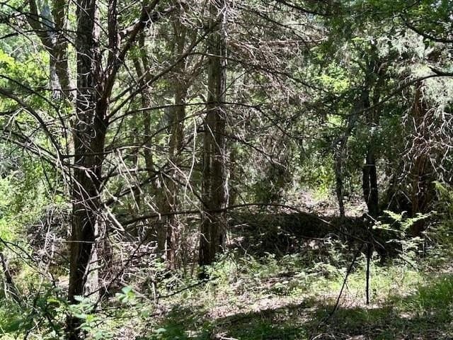18.2 acres in Limestone County - photo 9