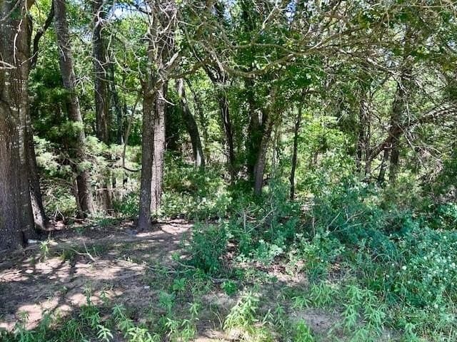 18.2 acres in Limestone County - photo 13