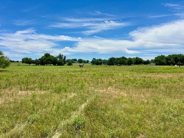 18.2 acres in Limestone County - photo 18