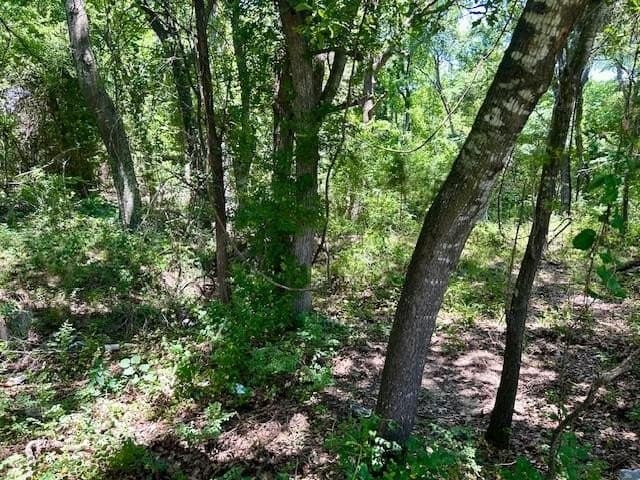 18.2 acres in Limestone County - photo 12