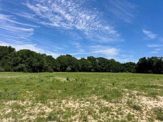 18.2 acres in Limestone County - photo 6