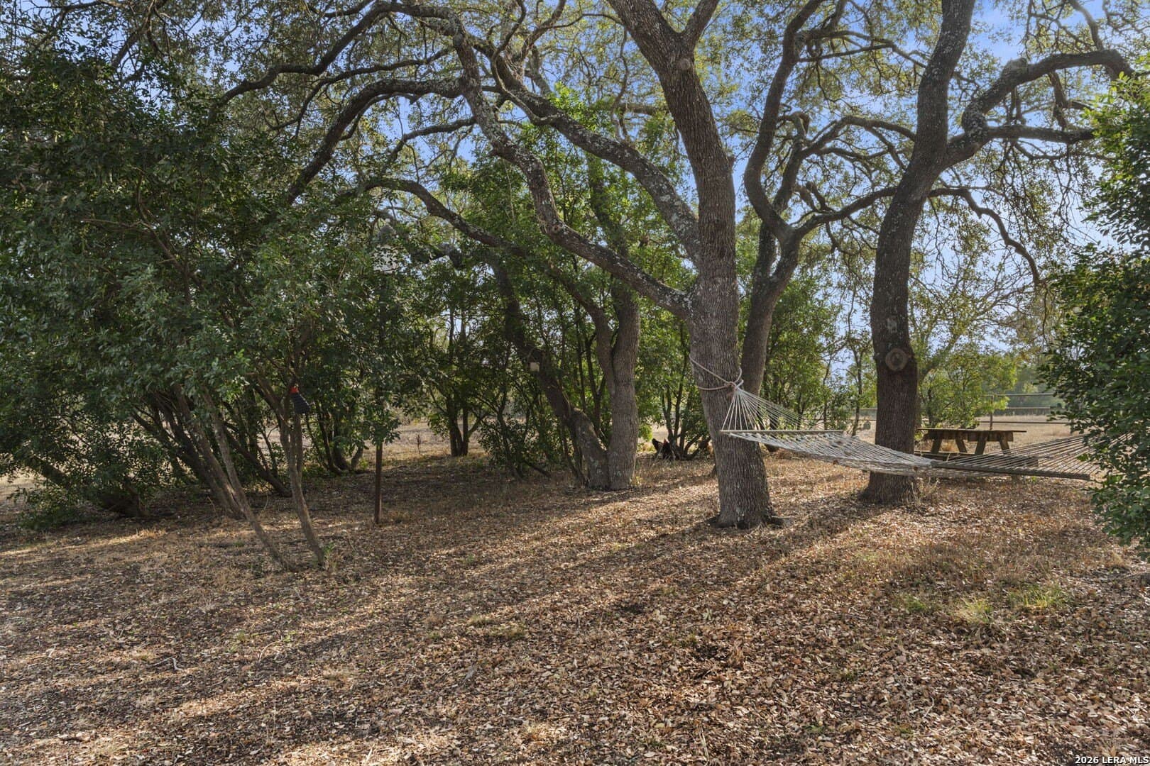 10.04 acres in Medina County - photo 39