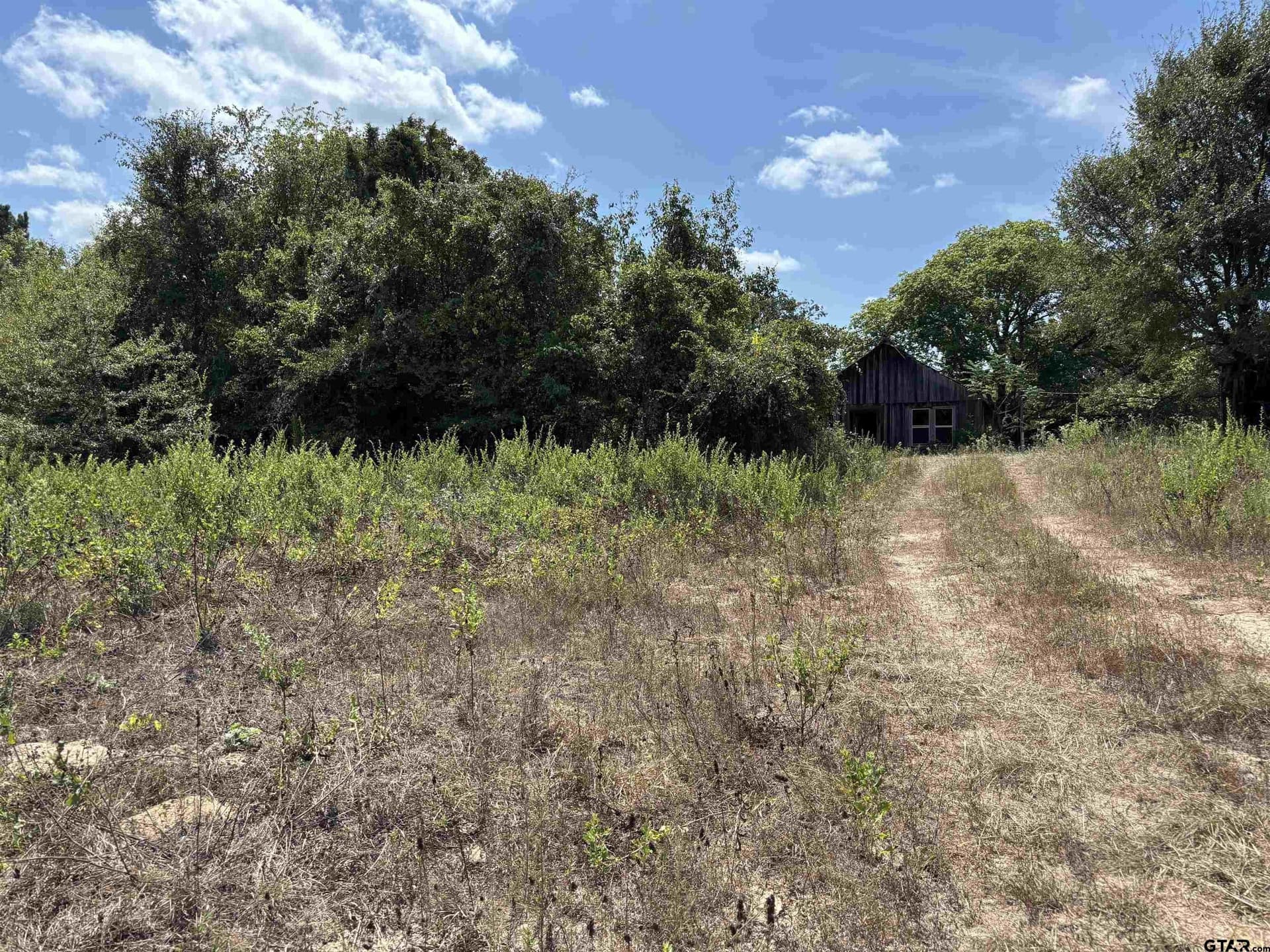 112.76 acres in Cherokee County - photo 3