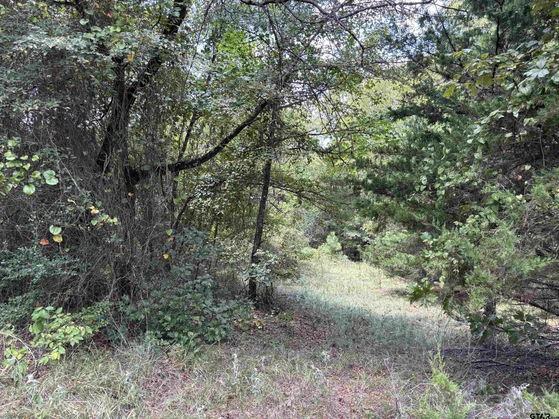112.76 acres in Cherokee County - photo 14