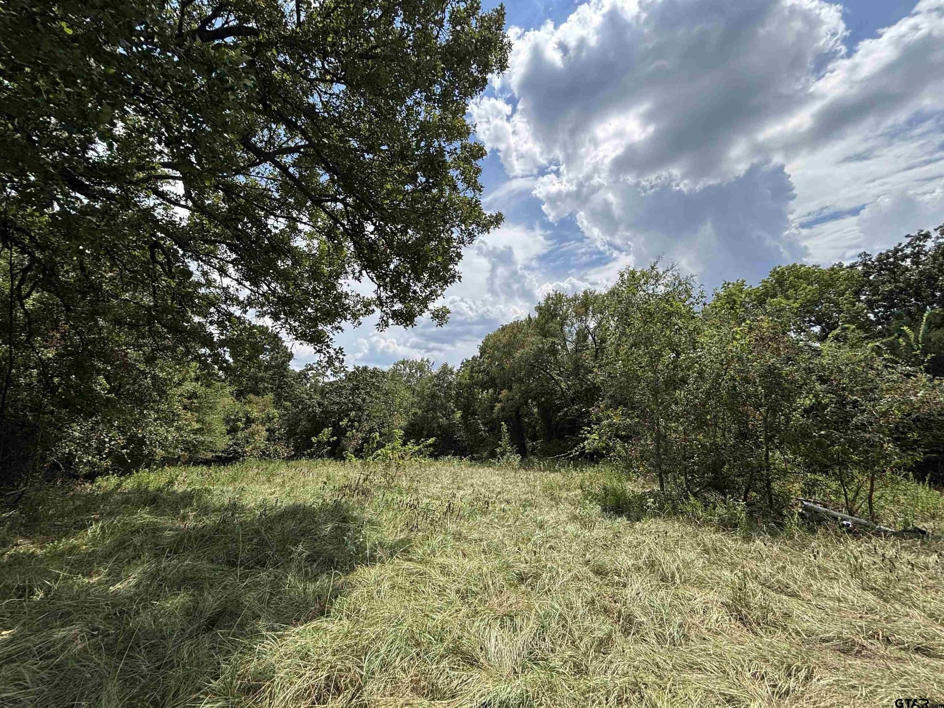 112.76 acres in Cherokee County - photo 4