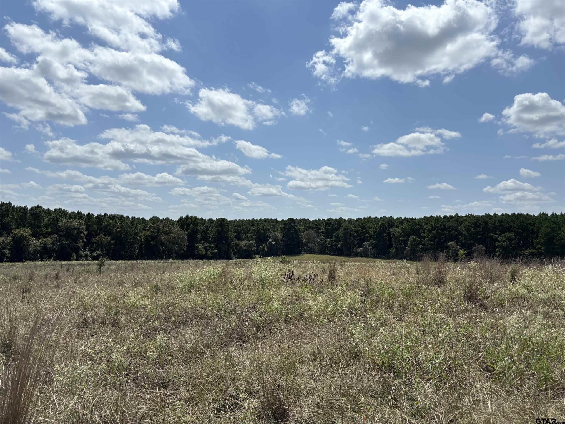 112.76 acres in Cherokee County - photo 17