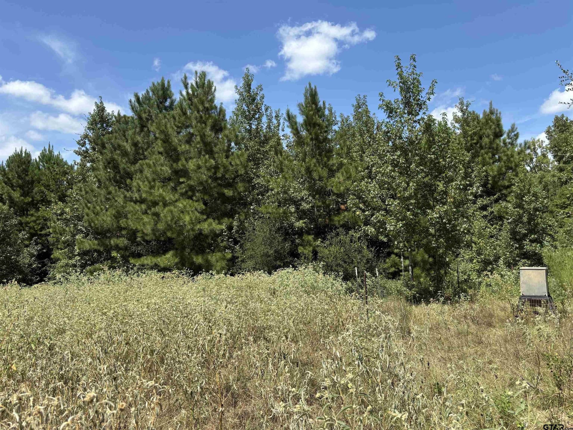 112.76 acres in Cherokee County - photo 25