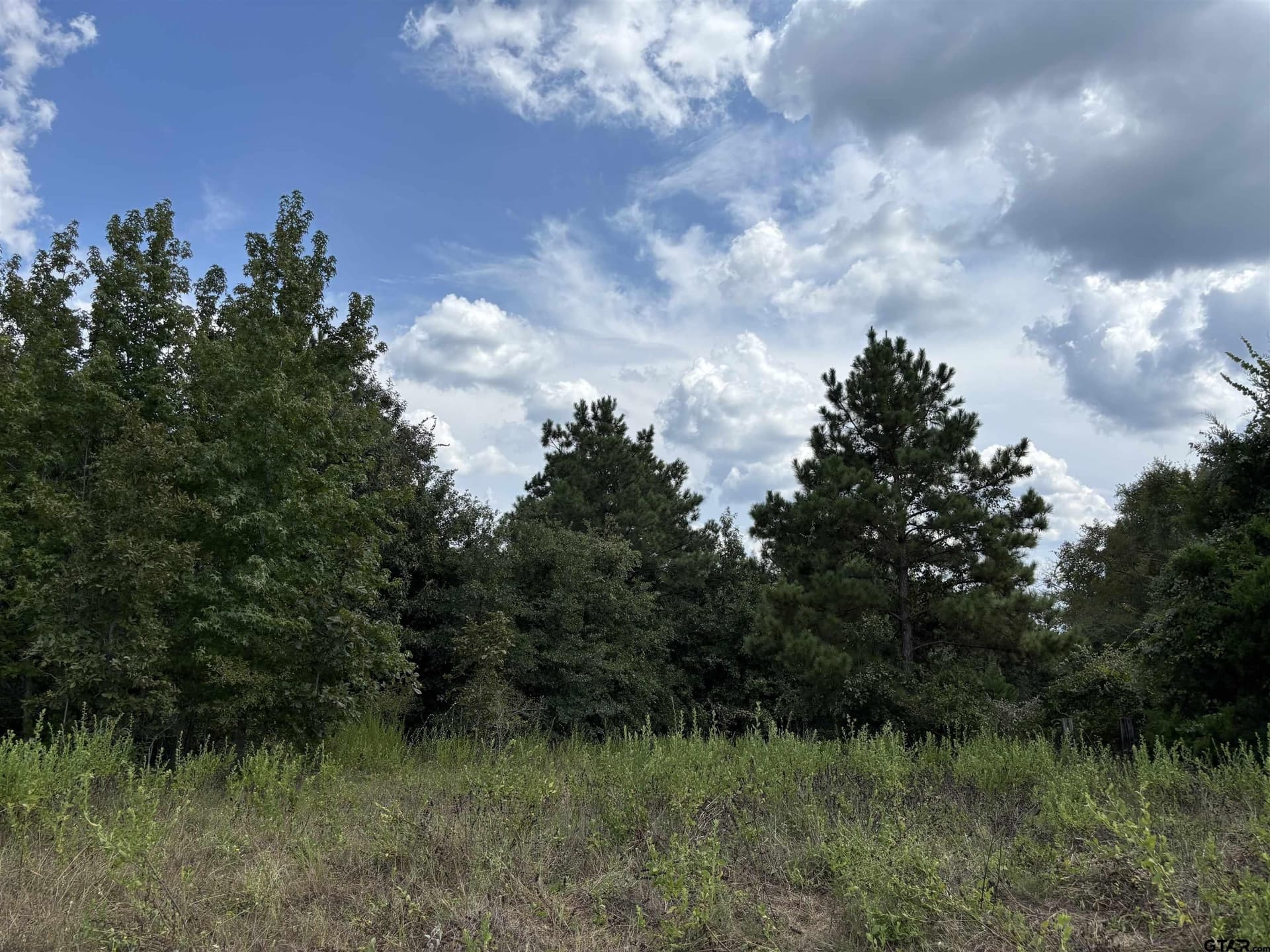 112.76 acres in Cherokee County - photo 5