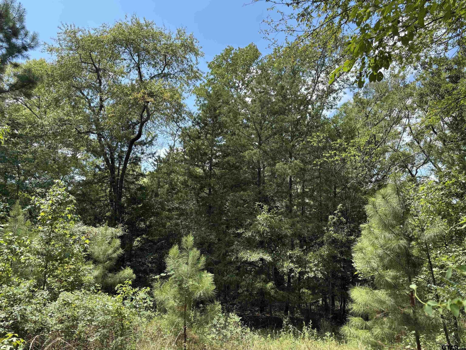 112.76 acres in Cherokee County - photo 22