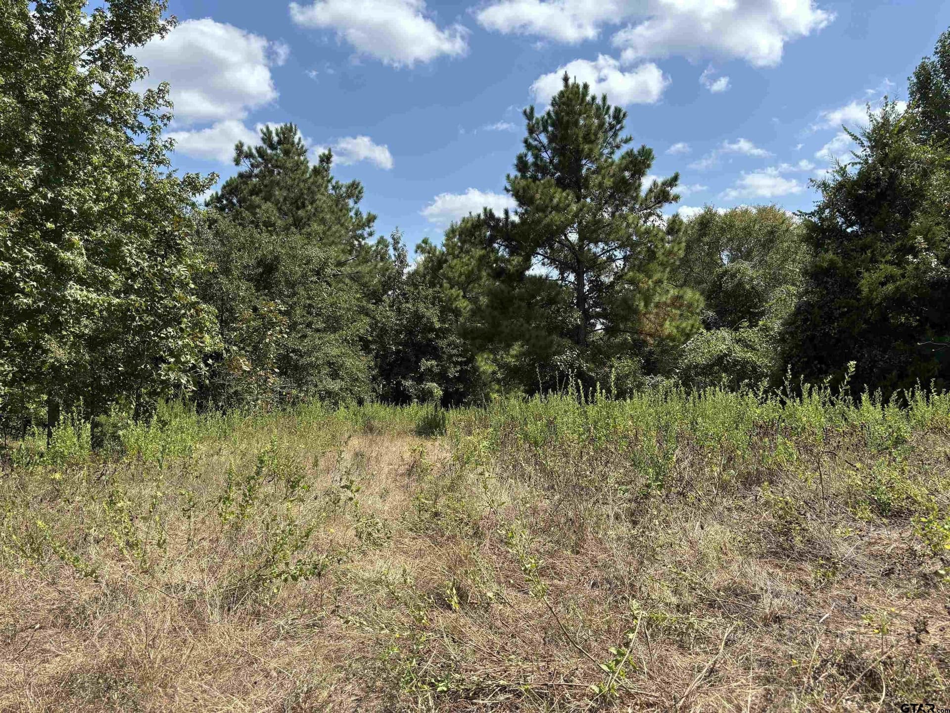 112.76 acres in Cherokee County - photo 13