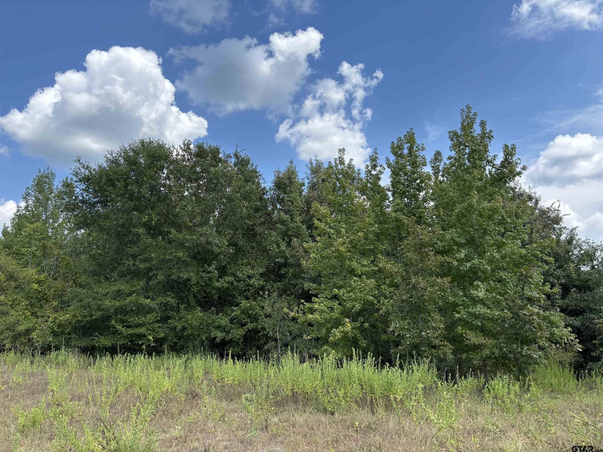 112.76 acres in Cherokee County - photo 6