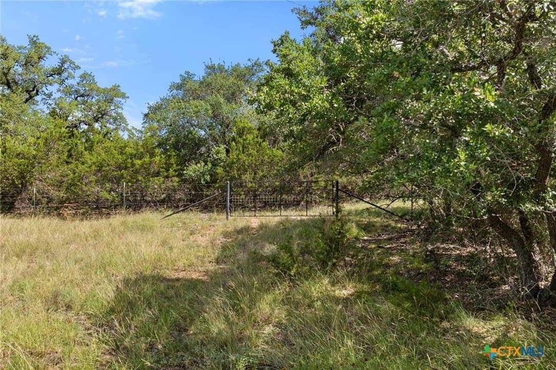 11 acres in Blanco County - photo 34