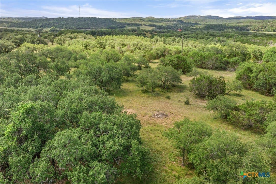 11 acres in Blanco County - photo 37