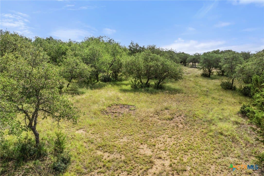 11 acres in Blanco County - photo 35