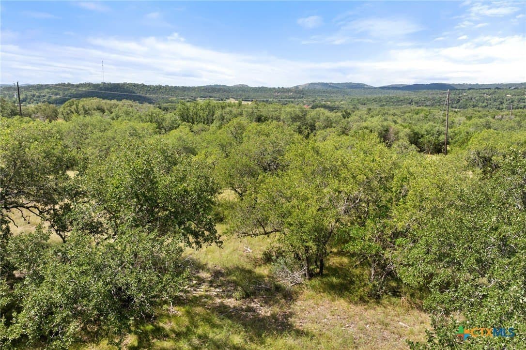 11 acres in Blanco County - photo 38