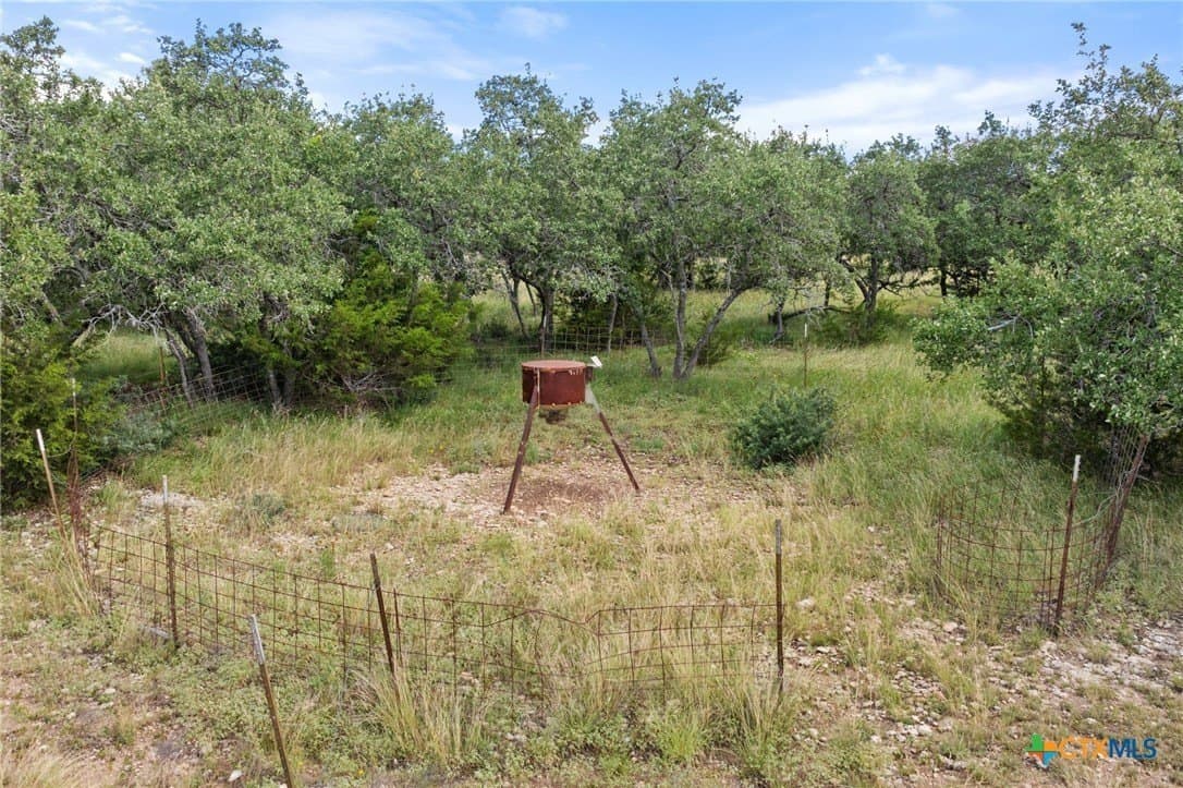 11 acres in Blanco County - photo 36