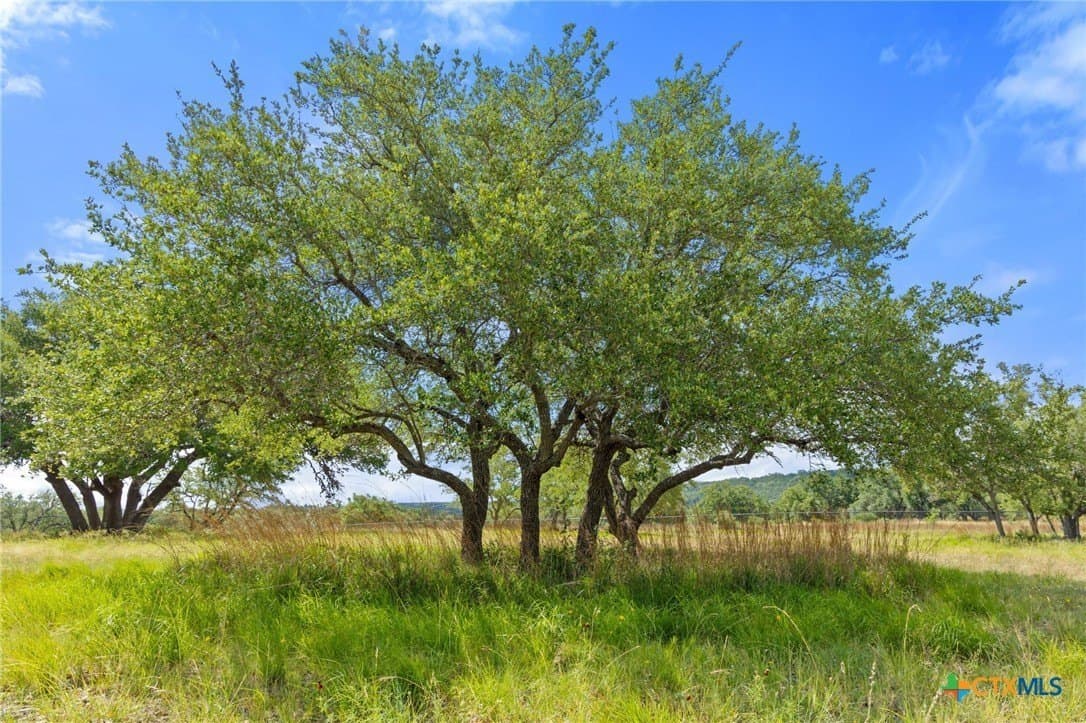 11 acres in Blanco County - photo 32