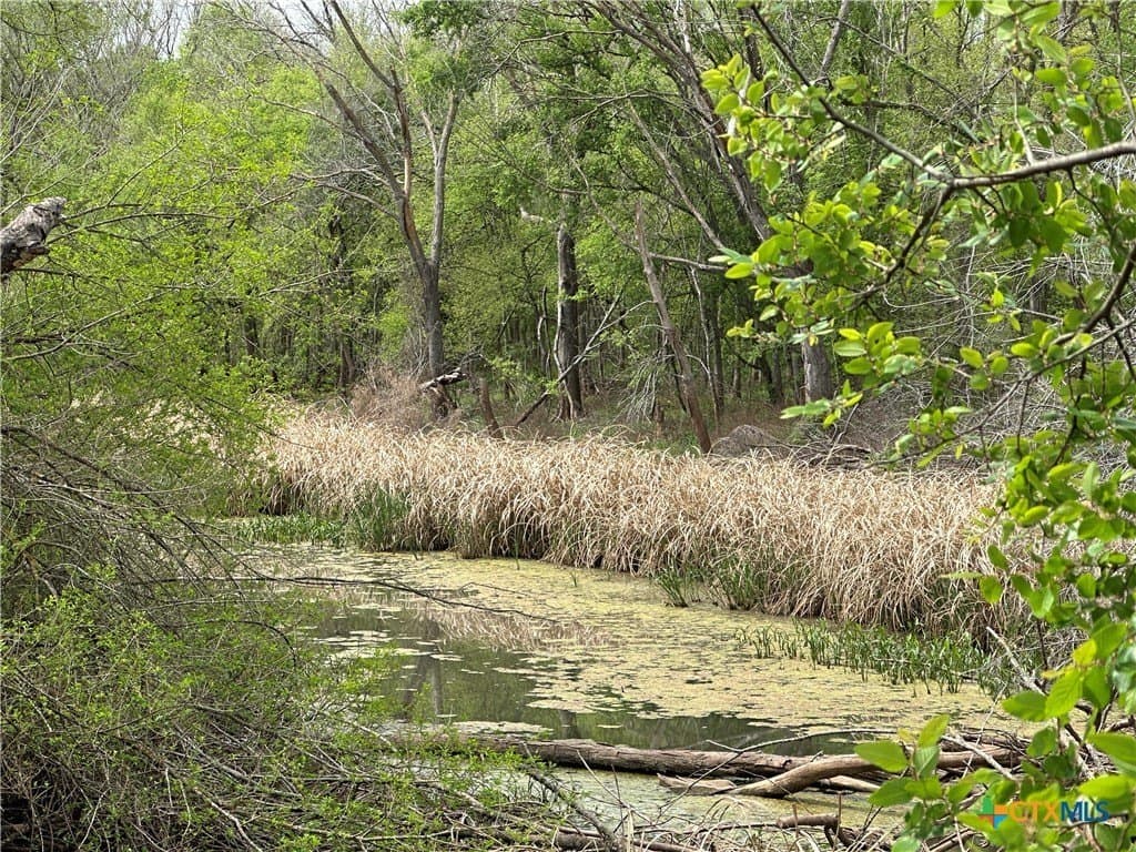 19.5 acres in Falls County - photo 2