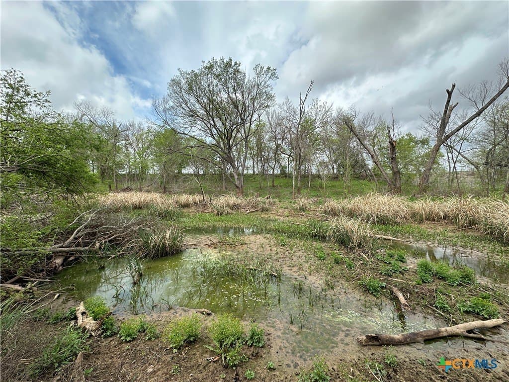 19.5 acres in Falls County - photo 3