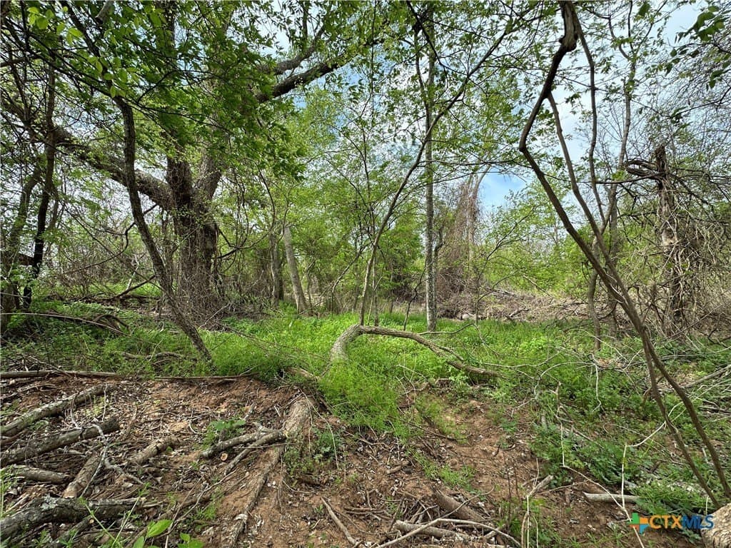 19.5 acres in Falls County - photo 4