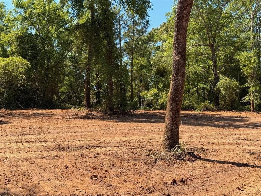 0.77 acres in Henderson County - photo 4