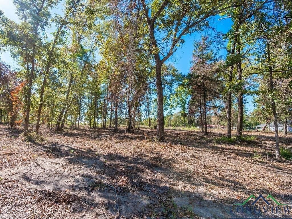 0.71 acres in Texas County - photo 3