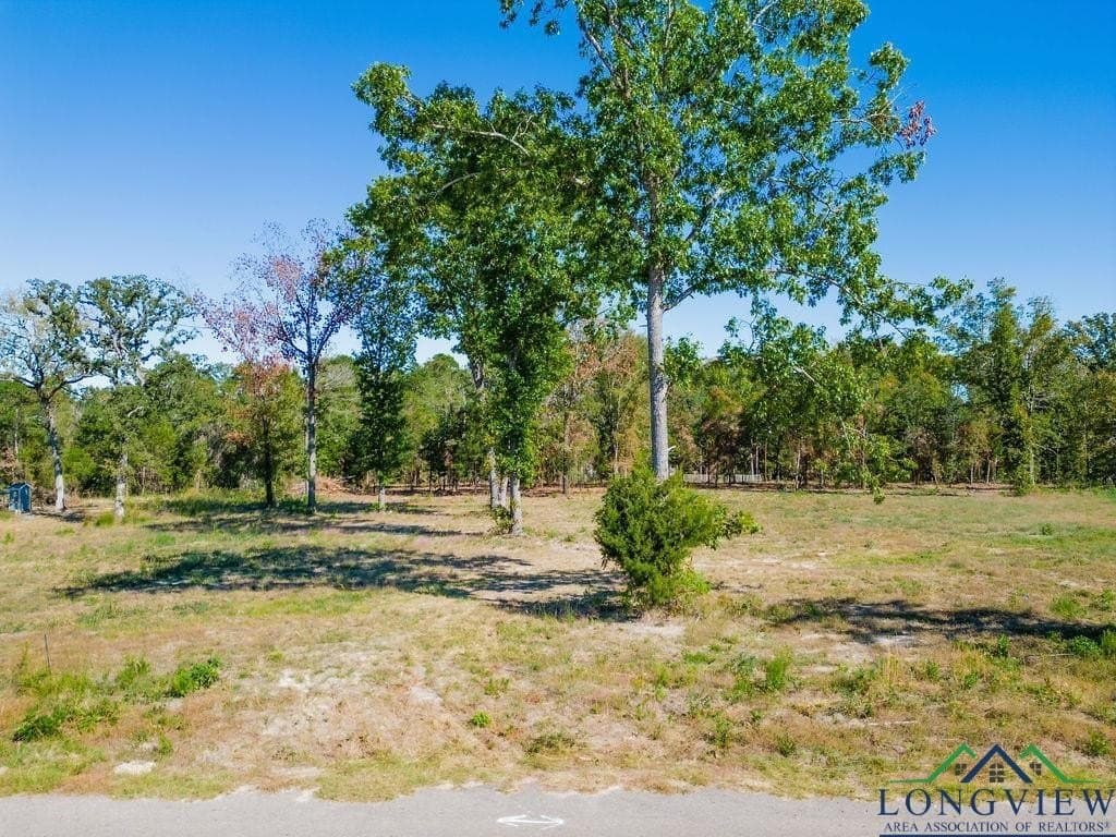 0.71 acres in Texas County - photo 4