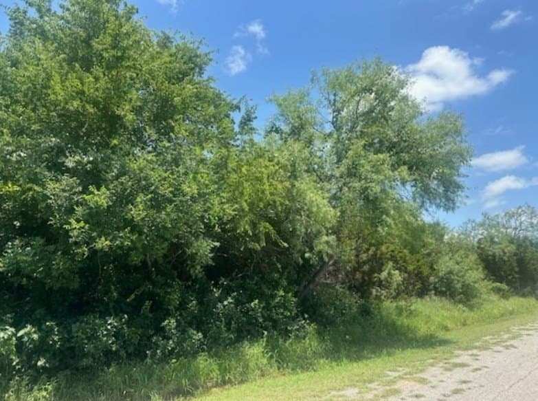 0.53 acres in Hill County - photo 2