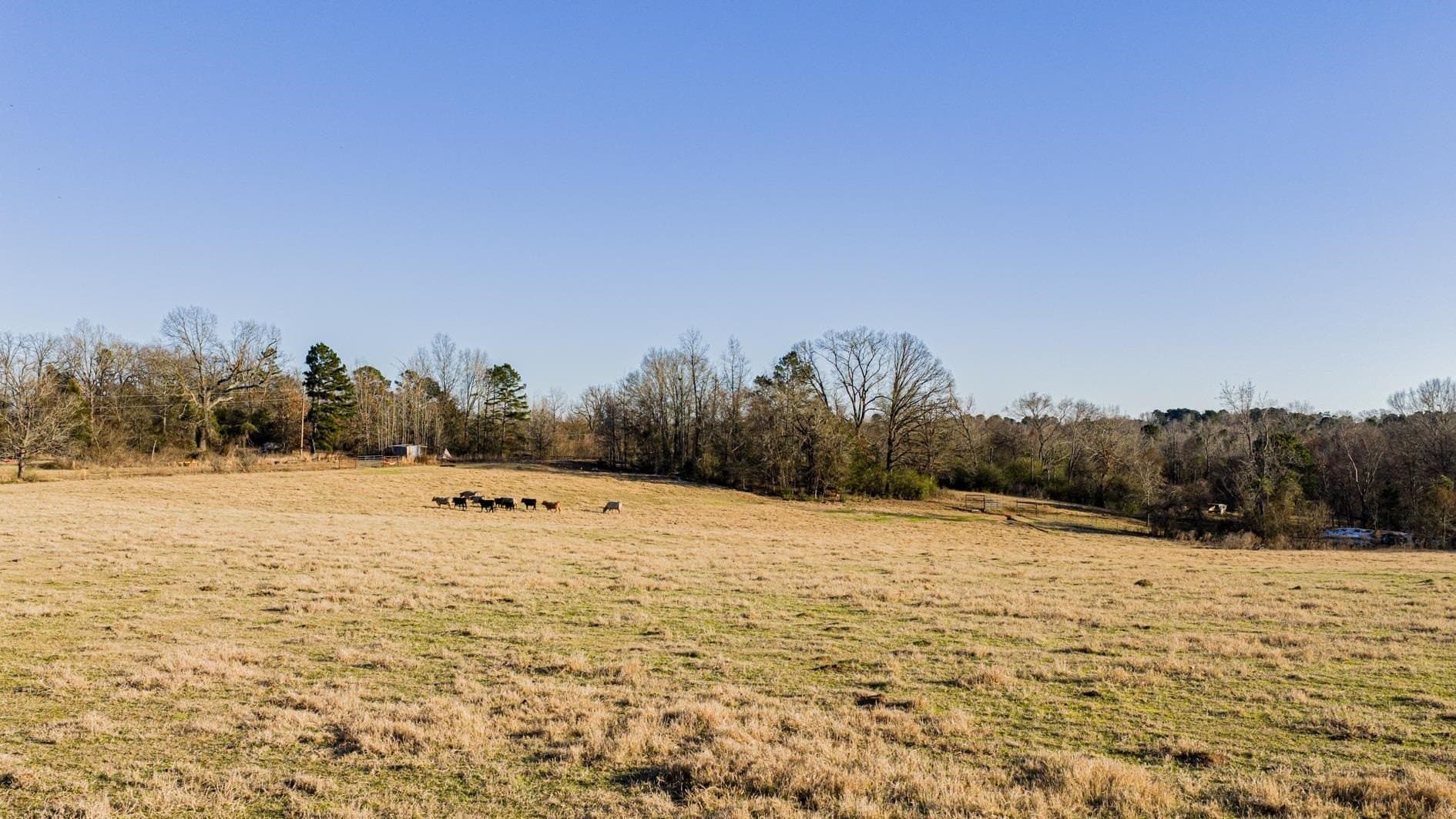 22.73 acres in Texas County - photo 3