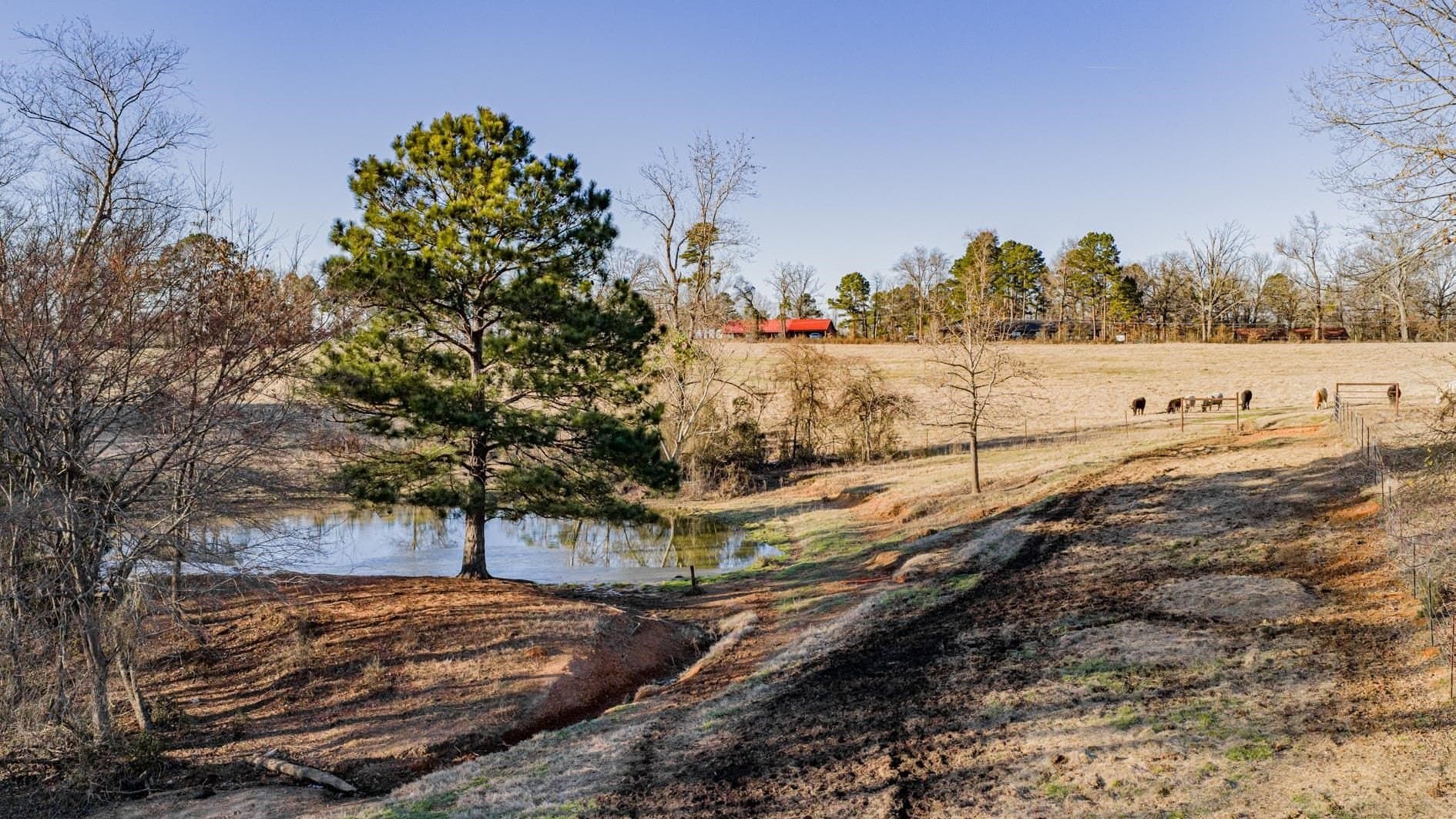 22.73 acres in Texas County - photo 7