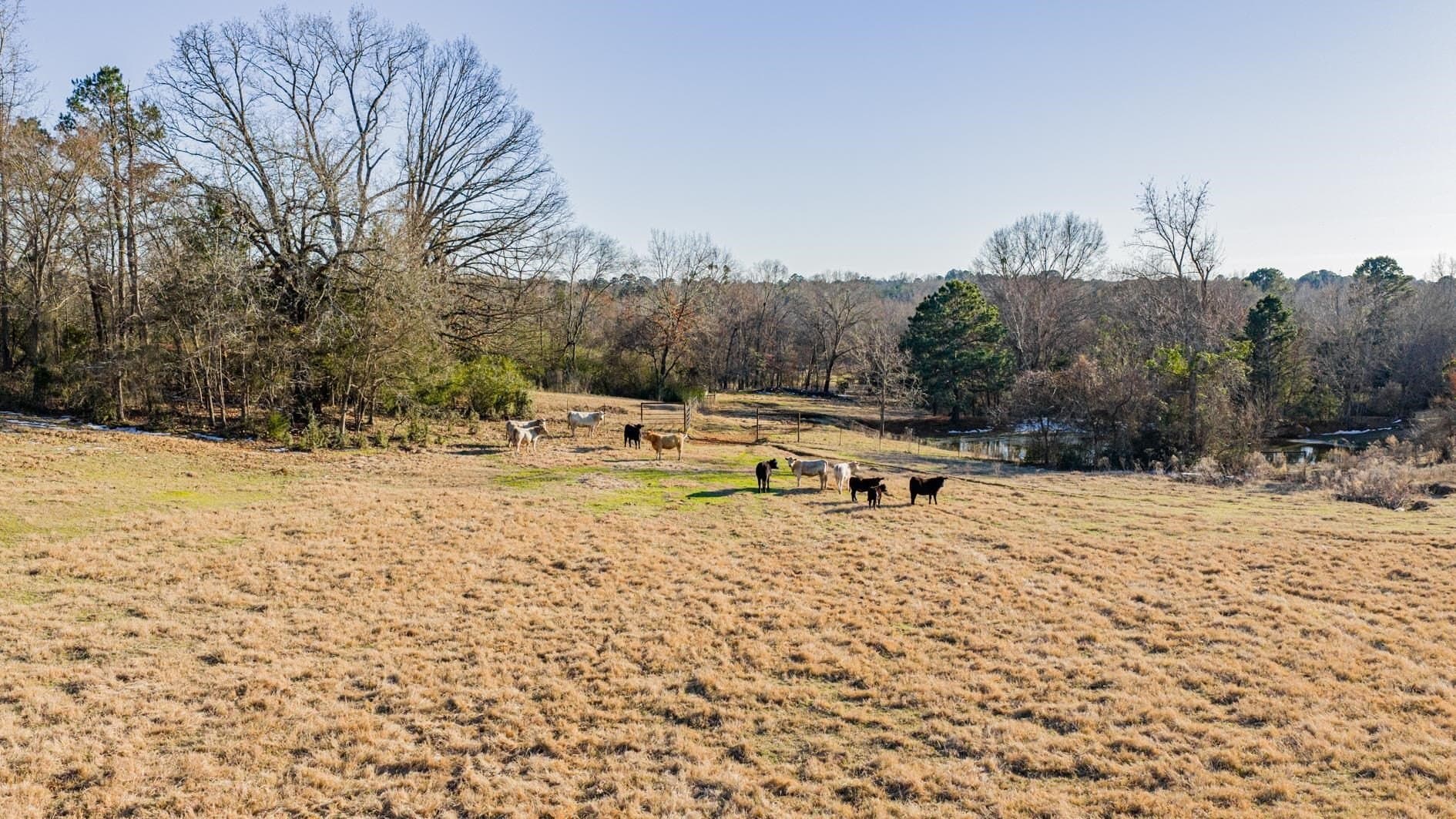 22.73 acres in Texas County - photo 5