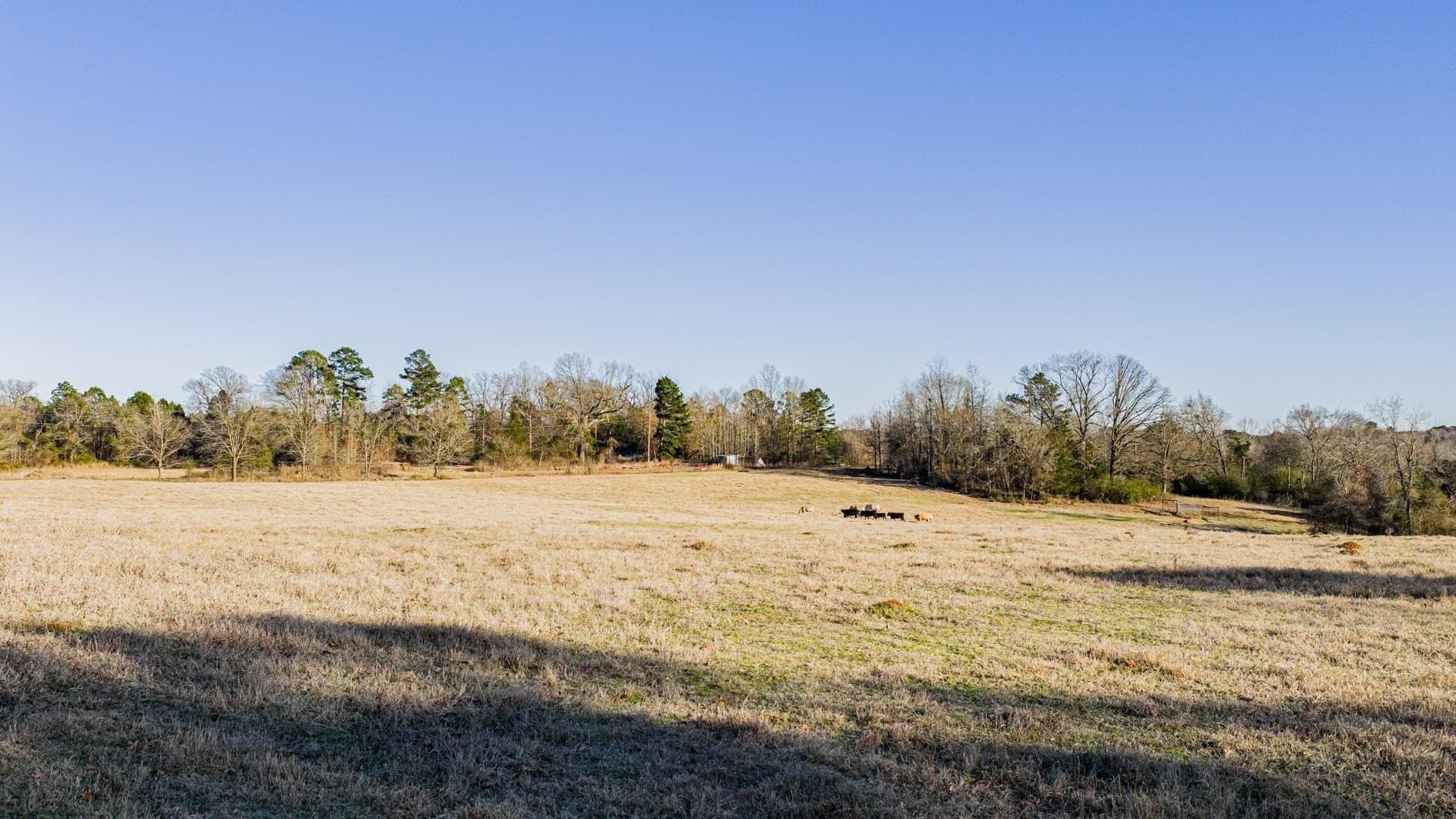 22.73 acres in Texas County - photo 4