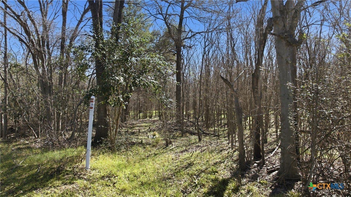 1.17 acres in Milam County - photo 4