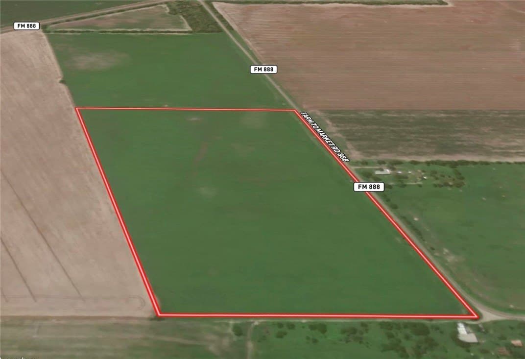 50 acres in Live Oak County - photo 3