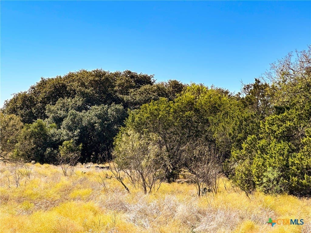 10.16 acres in Burnet County - photo 14