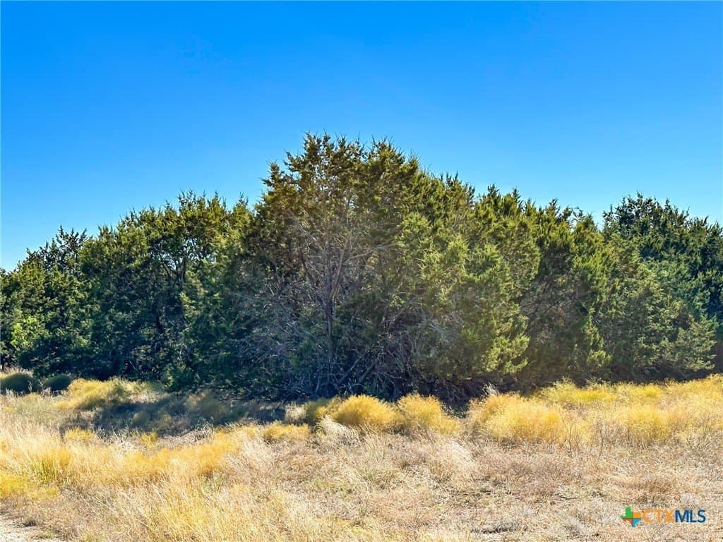 10.16 acres in Burnet County - photo 20