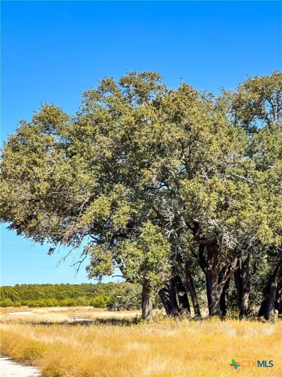 10.16 acres in Burnet County - photo 19