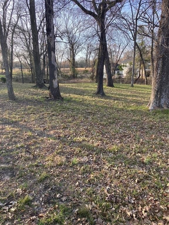 0.44 acres in Henderson County - photo 4